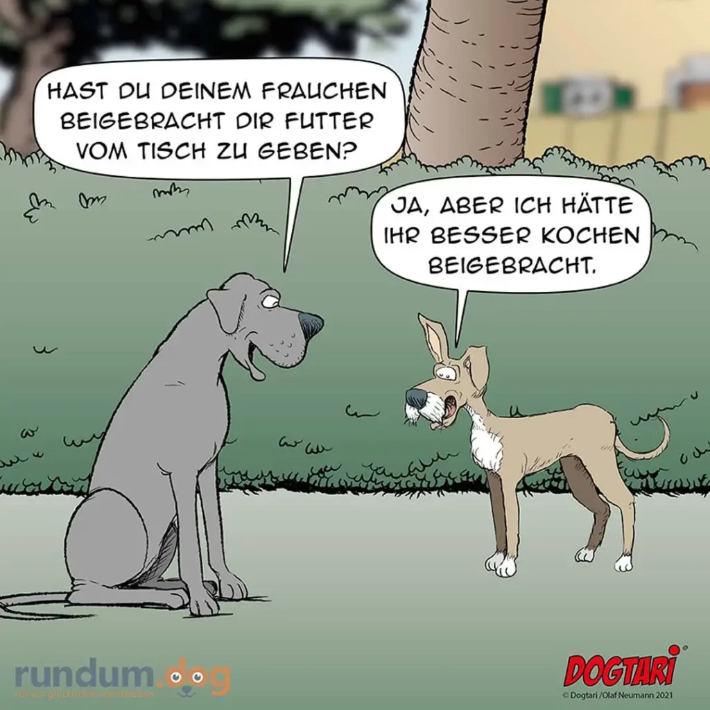 Grosser grauer Hund fragt einen kleinen braunen Hund: «Hast du deinem Frauchen Futter vom Tisch zu geben?» Der kleine Hund antwortet: «Ja, aber ich hätte ihrs besser kochen beigebracht.»