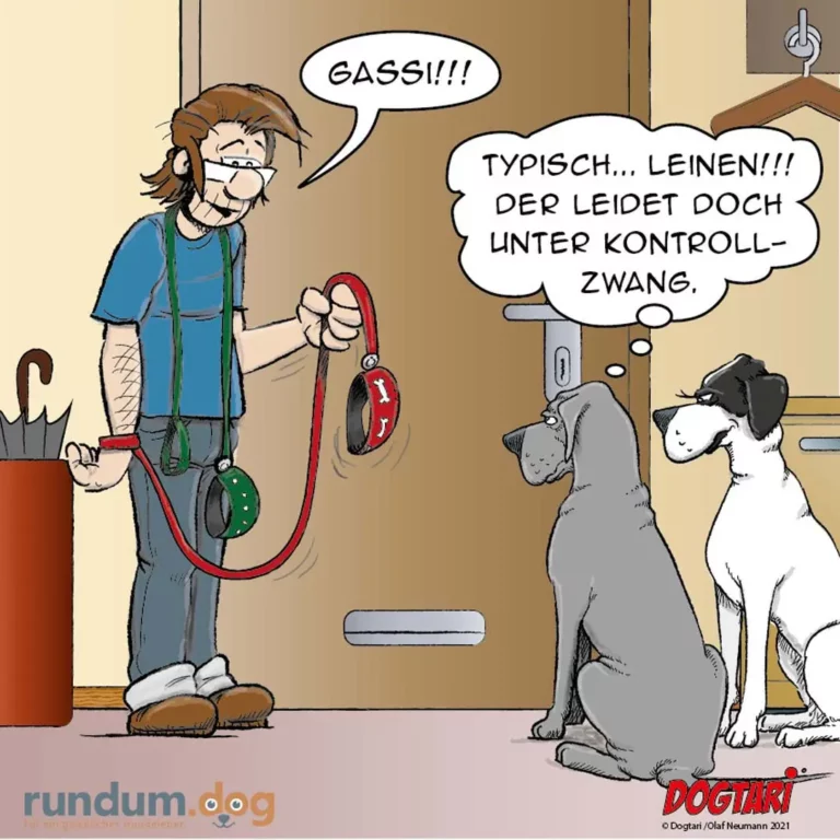 Hundetrainer hält Leine hoch und lacht, zwei Hunde sitzen vor ihm – einer schaut weg, der andere blickt nachdenklich