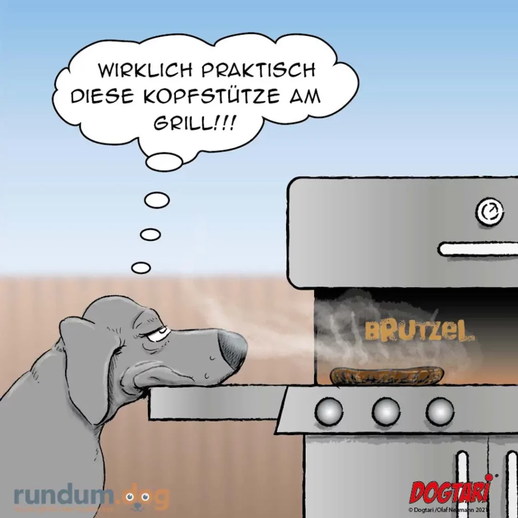 Hund schaut sehnsüchtig auf Grill mit Wurst, denkt: «Wirklich praktisch diese Kopfstütze am Grill!»