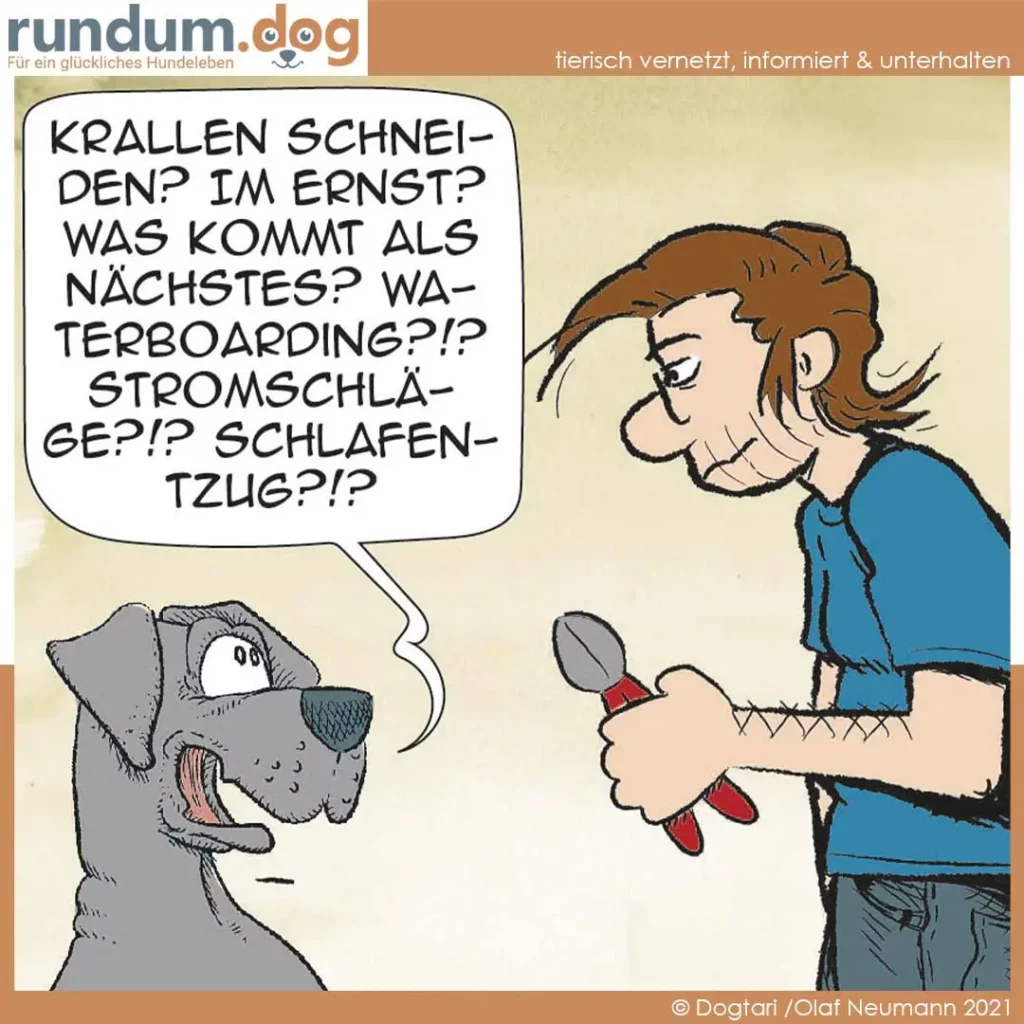 Hund mit offenem Maul schaut Halter an, der mit Leckerli-Dose fragend gestikuliert und viele Trainings-Fragen stellt