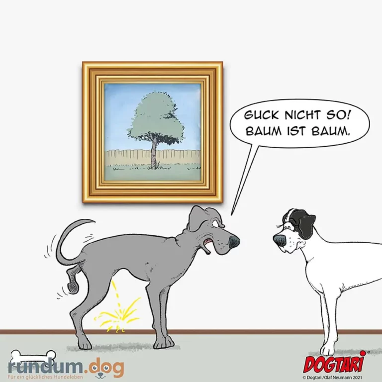 Grauer Hund markiert an der Wand und sagt zu kleinerem weissem Hund: «Guck nicht so! Baum ist Baum.»