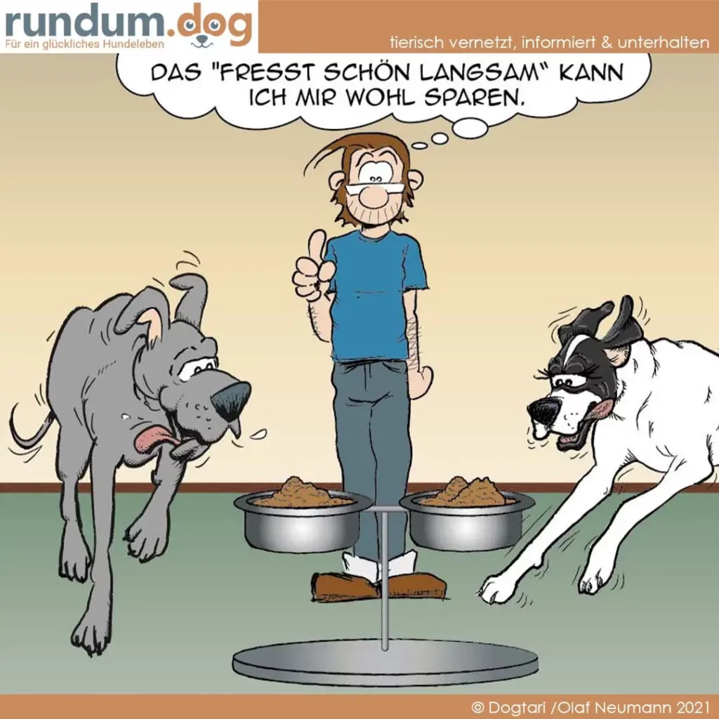 Halter mit Peace-Zeichen zwischen zwei Hunden an Futternäpfen: 'Das Fresst schön langsam kann ich mir wohl sparen'