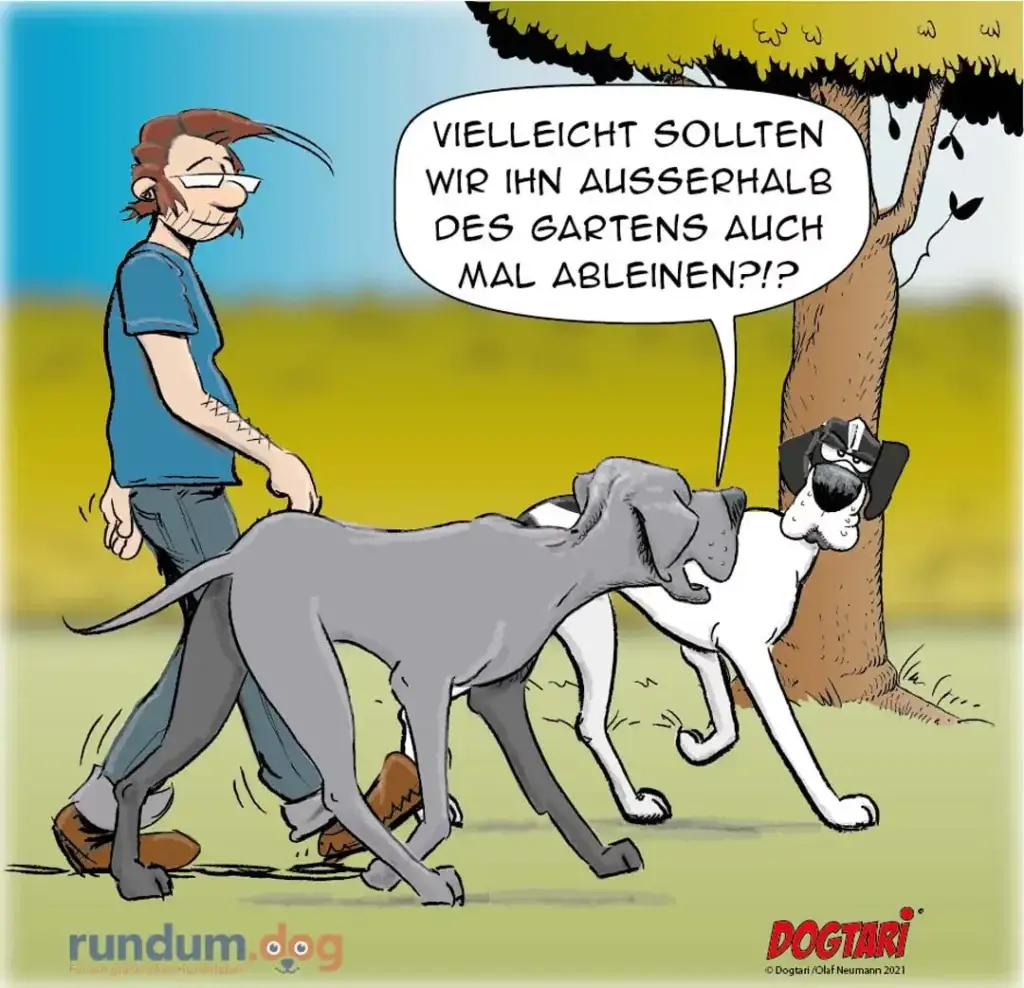 Mann mit Leine wird von zwei Hunden in verschiedene Richtungen gezogen, einer fragt: «Vielleicht sollten wir ihn ausserhalb des Gartens auch mal ableinennen?»