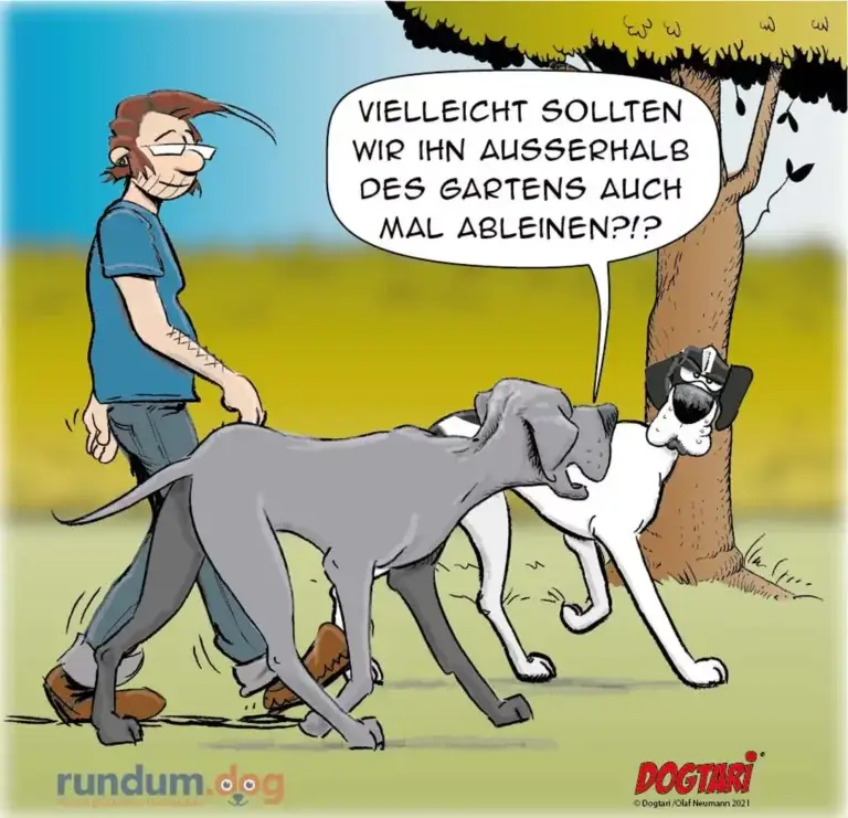Mann mit Leine wird von zwei Hunden in verschiedene Richtungen gezogen, einer fragt: «Vielleicht sollten wir ihn ausserhalb des Gartens auch mal ableinennen?»