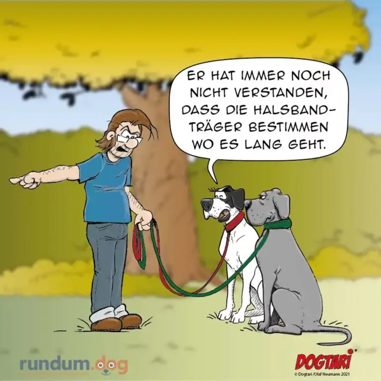 Halter hält zwei Leinen in der Hand und erklärt frustriert zwei Hunden, dass die Halsband-Träger bestimmen, wie lange der Spaziergang dauert