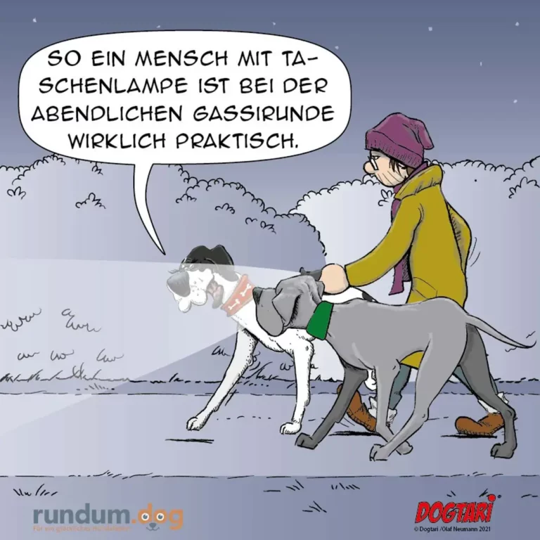 Person mit Mütze und Jacke führt zwei Hunde an der Leine spazieren und erklärt sachlich: "So ein Mensch mit Taschenlampe ist bei der abendlichen Gassirunde wirklich praktisch."