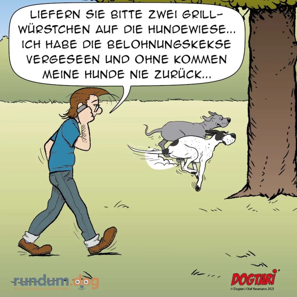 Frau telefoniert und läuft über eine Wiese, zwei Hunde sprinten in entgegengesetzter Richtung davon