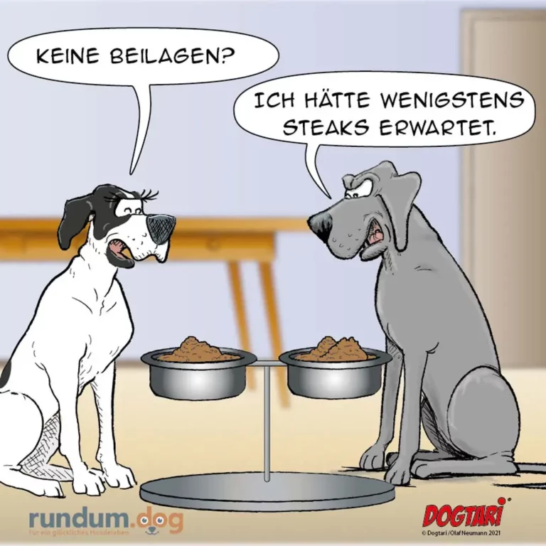 Zwei Hunde sitzen sich an einem Tisch gegenüber, vor jedem ein Napf mit Futter. Der weisse Hund fragt: «Keine Beilagen?» Der graue Hund antwortet verärgert: «Ich hätte wenigstens Steaks erwartet.»