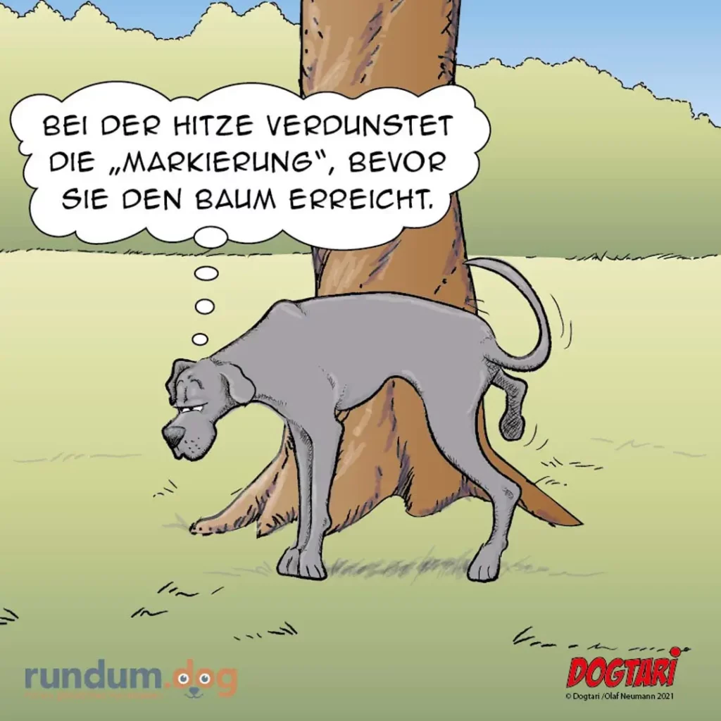 Hund markiert an einem Baum, Gedankenblasen zeigen inneren Monolog des Hundes
