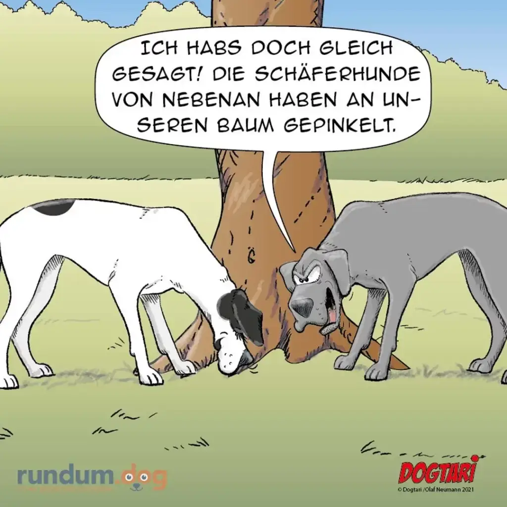 Zwei Hunde schnüffeln an einem Baum, einer sagt zum anderen: Ich habs doch gleich gesagt, die Schäferhunde von nebenan haben an unserem Baum gepinkelt