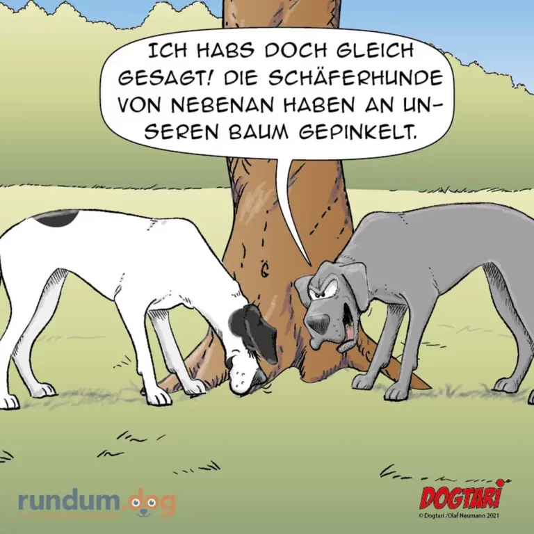 Zwei Hunde schnüffeln an einem Baum, einer sagt zum anderen: Ich habs doch gleich gesagt, die Schäferhunde von nebenan haben an unserem Baum gepinkelt