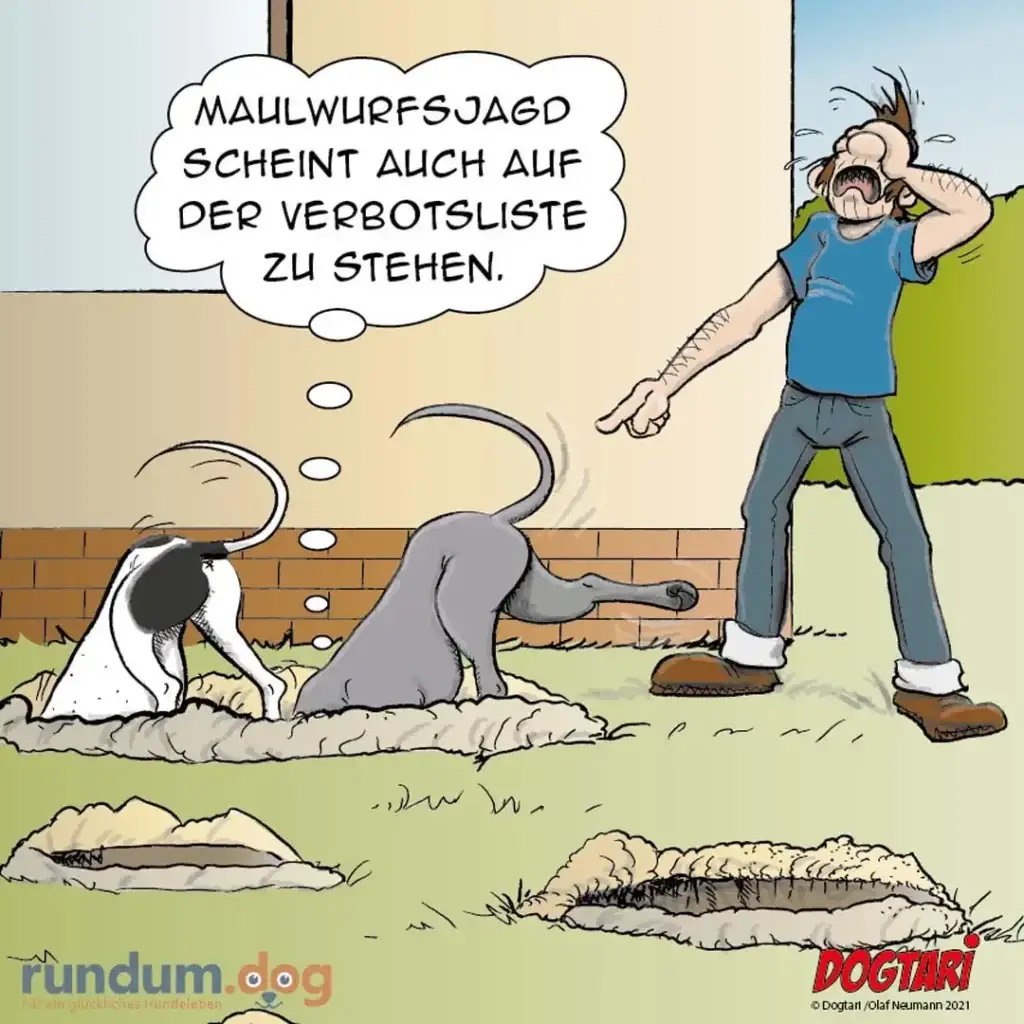Zwei Hunde graben Löcher im Garten, Halter steht daneben und beschwert sich, dass Maulwurfsjagd auf der Verbotsliste steht