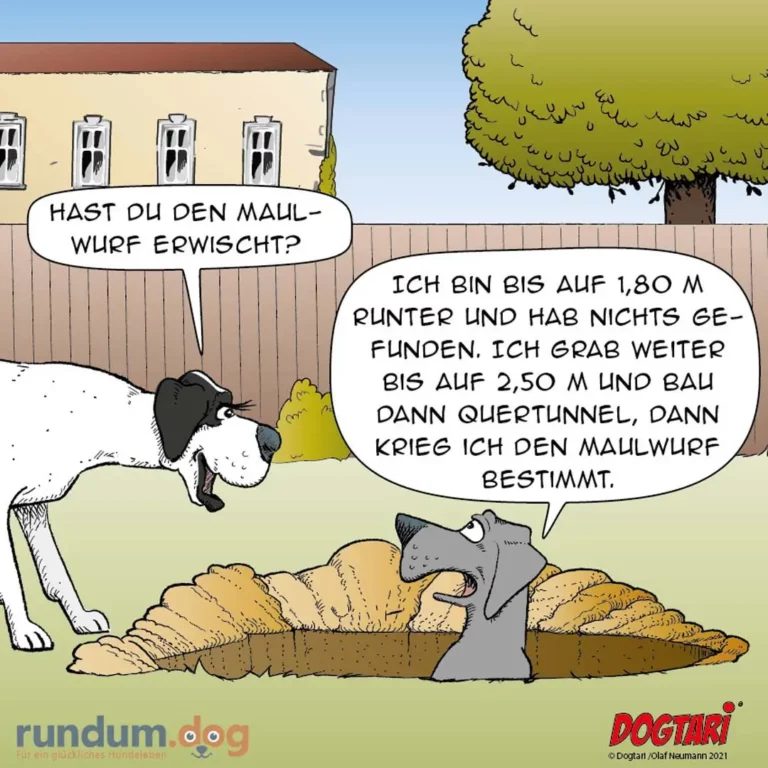 Zwei Hunde graben im Garten: schwarzweisser Hund erklärt dem grauen Hund sein Grabetechnik-System mit genauen Massangaben