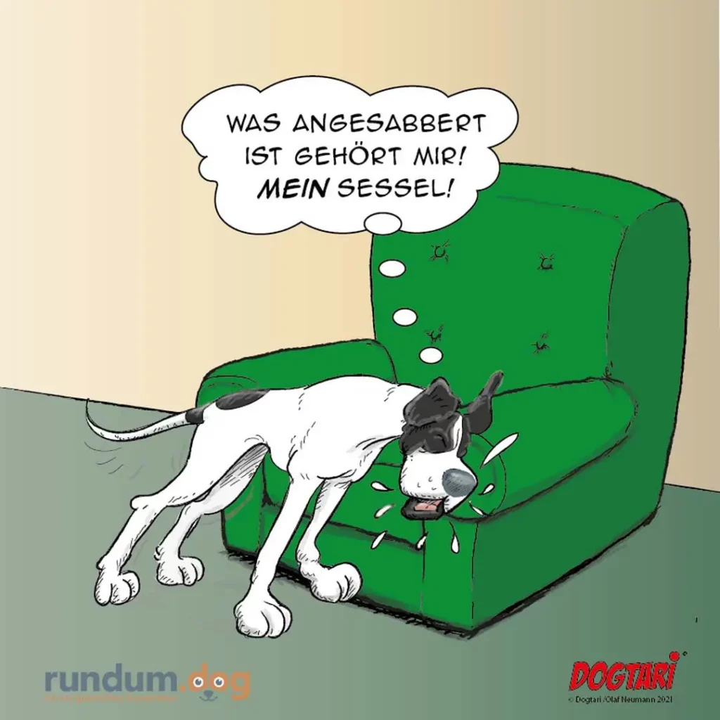 Weiss-schwarzer Hund zerkaut grünes Sofa und sagt: «Was angesabbert ist gehört mir! Mein Sessel!»