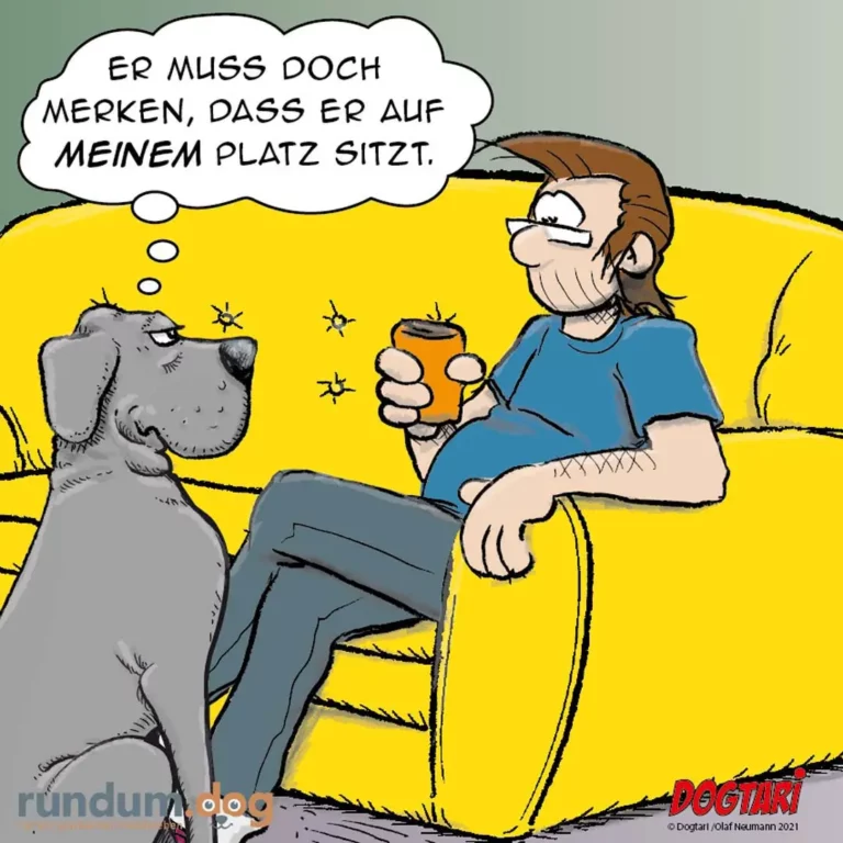 Hund sitzt auf gelbem Sofa neben Halter, schaut ihn an und denkt: «Er muss doch merken, dass er auf meinem Platz sitzt»