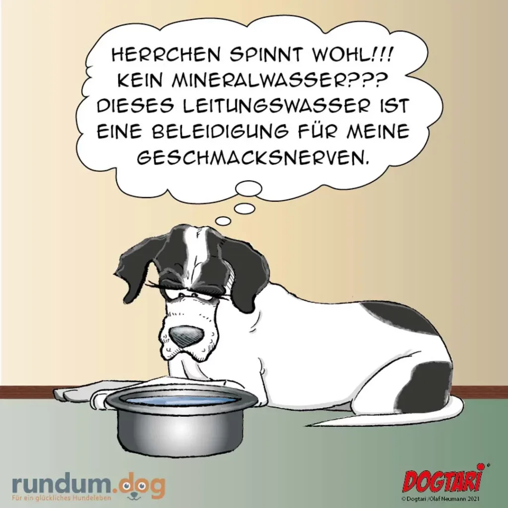 Schwarz-weisser Hund mit Brille liegt vor Napf mit Wasser, denkt in Sprechblase über Mineralwasser