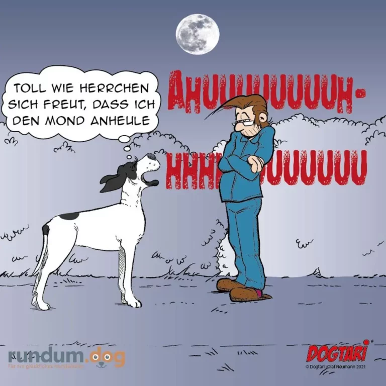 Hund heult den Mond an, Halter in blauem Anzug hält sich die Ohren zu und schreit vor Frustration
