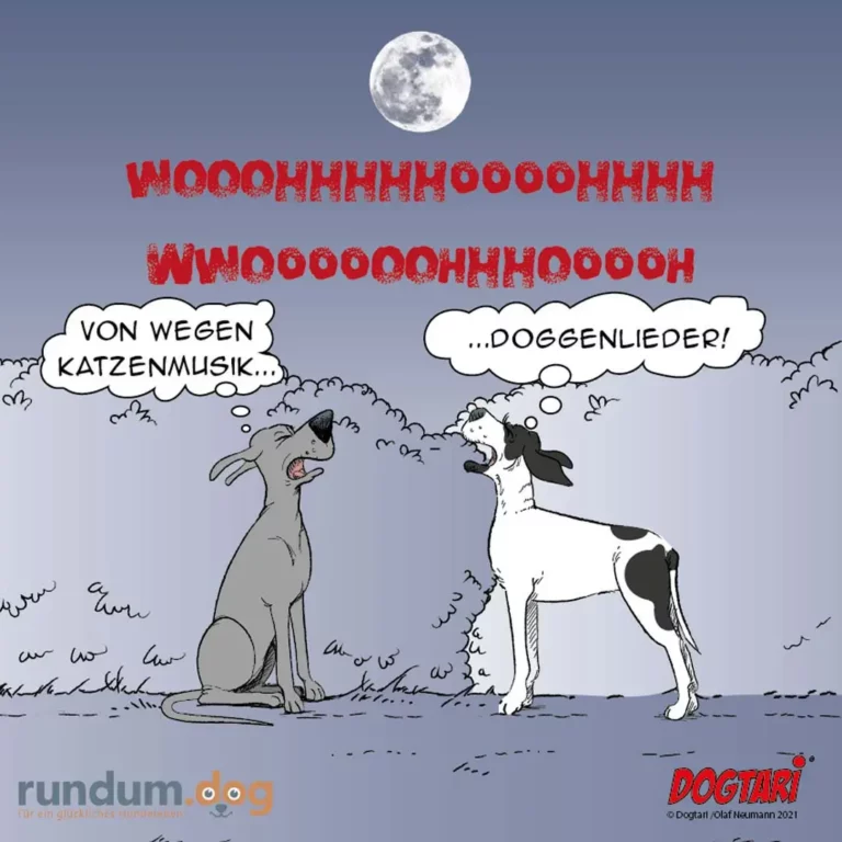 Grauer Hund heult zum Mond, weisser Hund mit schwarzen Flecken antwortet: Grauer Hund sagt 'Von wegen Katzenmusik', weisser Hund ruft 'Doggienlieder!'