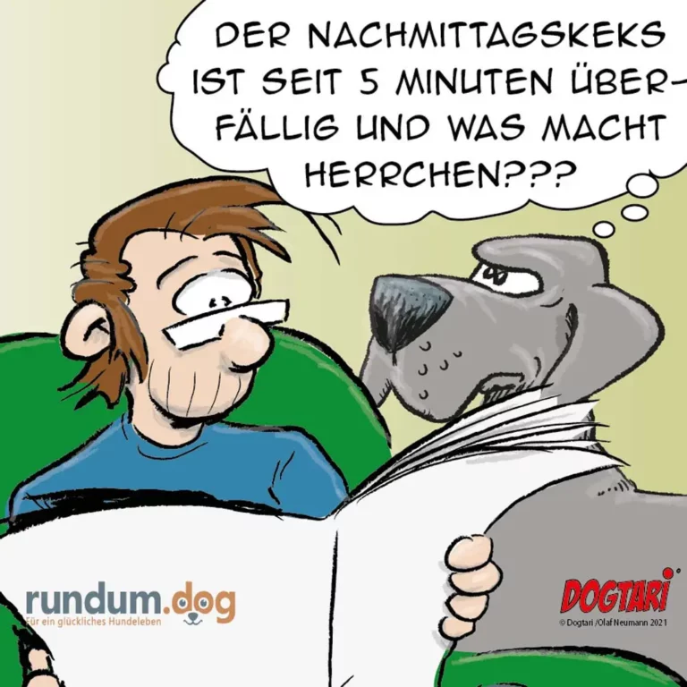 Mann sitzt im Bett und fragt seinen Hund besorgt: Der Nachbarshund ist seit 5 Minuten überfällig