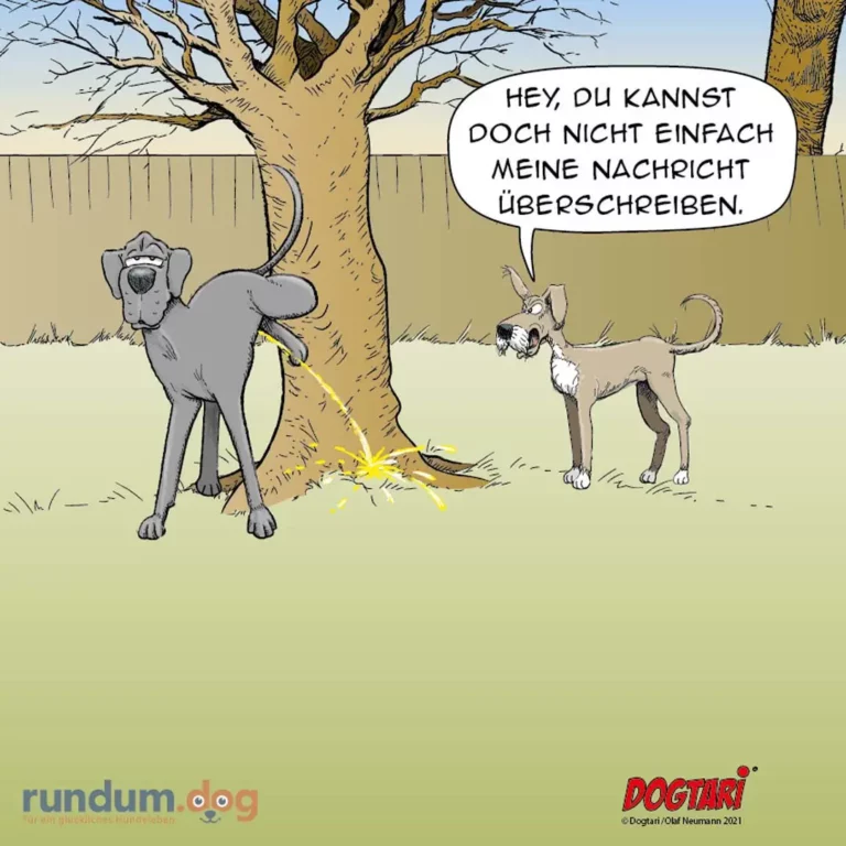 Grosser grauer Hund pinkelt an Baum und sagt zu kleinerem Hund: Hey, du kannst doch nicht einfach meine Nachricht überschreiben.