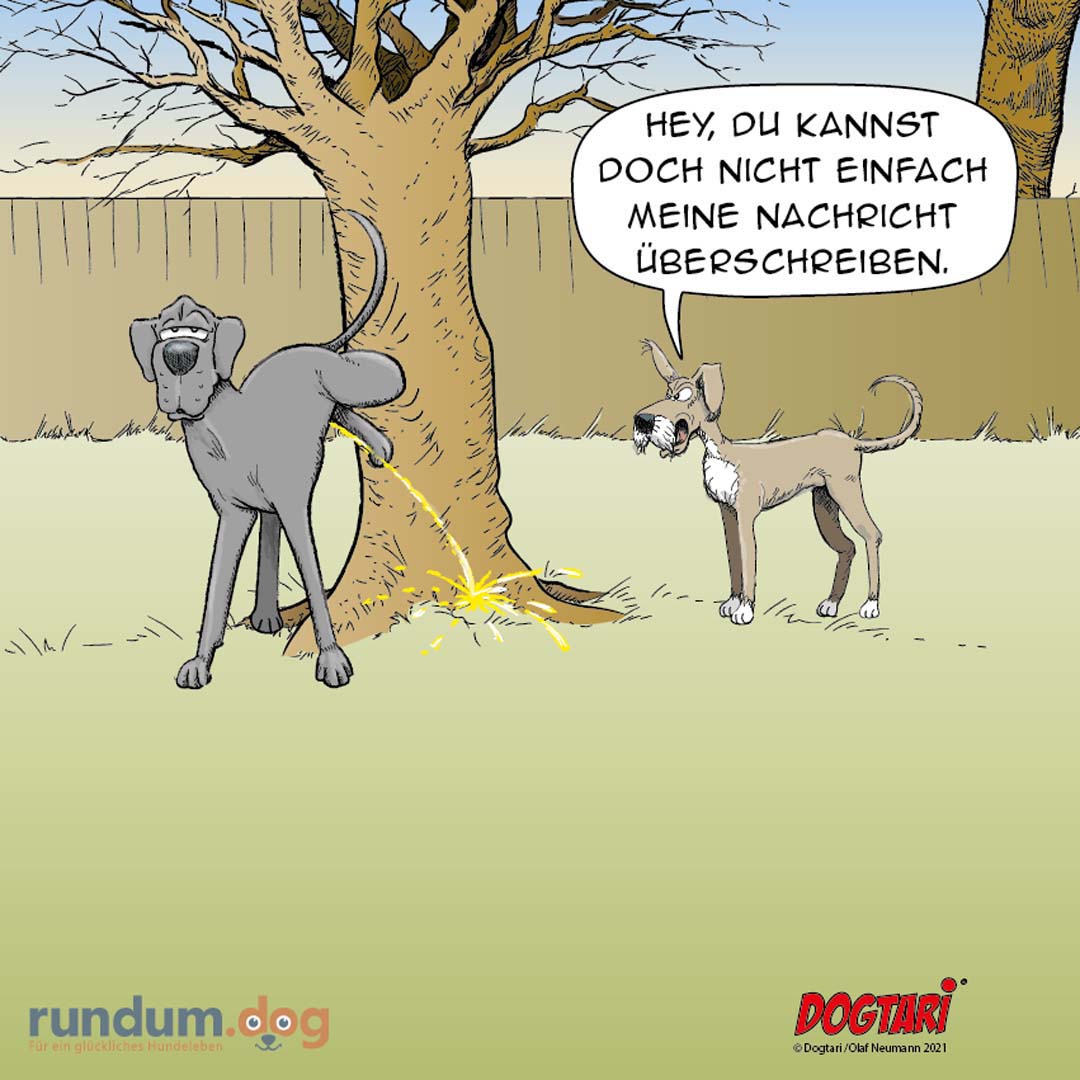 Dogtari 268