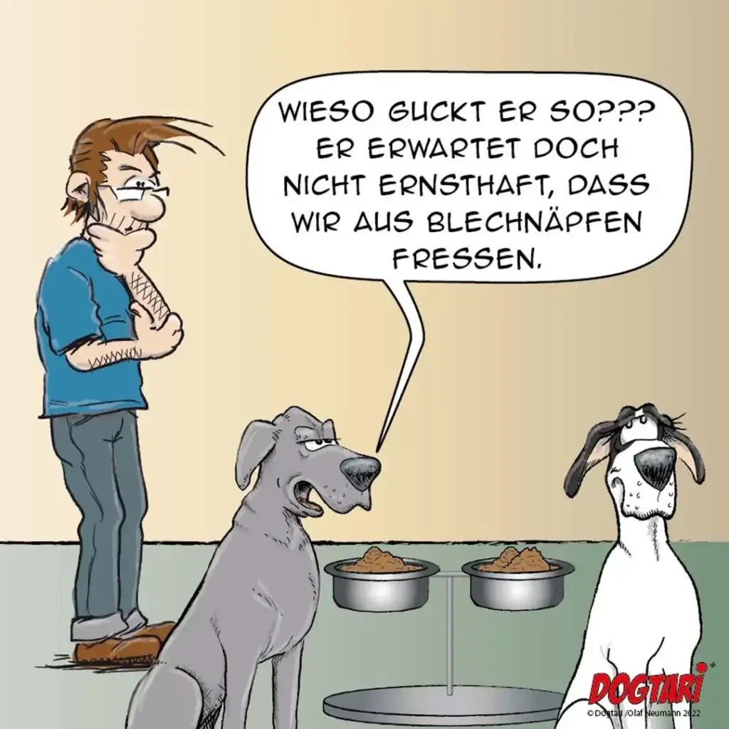 Mann erklärt zwei Hunden das Fütterungskonzept: grauer Hund sitzt aufmerksam, weisser Hund schaut skeptisch drein, zwei volle Näpfe zwischen ihnen