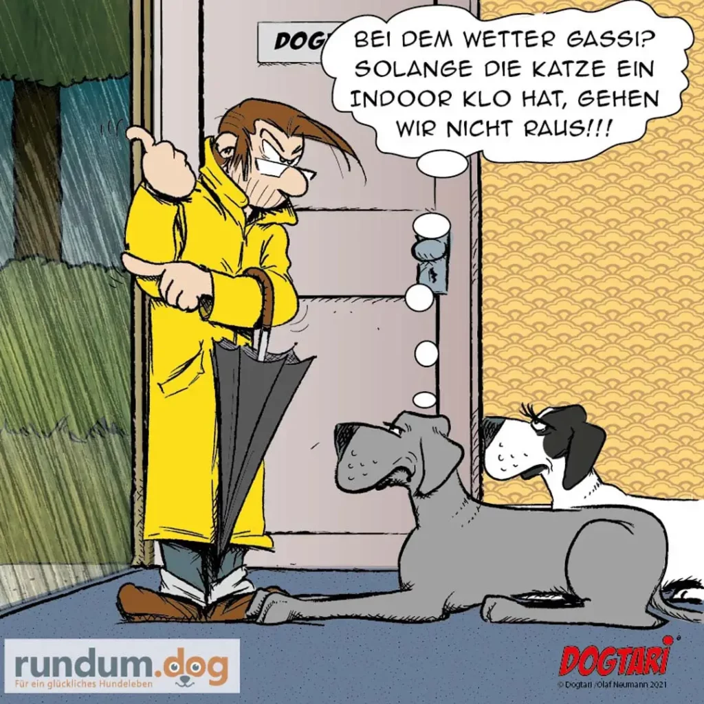 Hundehalter im gelben Regenmantel mit Schirm steht vor der Haustür, zwei Hunde schauen heraus – einer sagt: «Bei dem Wetter gässig? So lange die Katze ein Indoor-Klo hat, gehen wir nicht raus!»