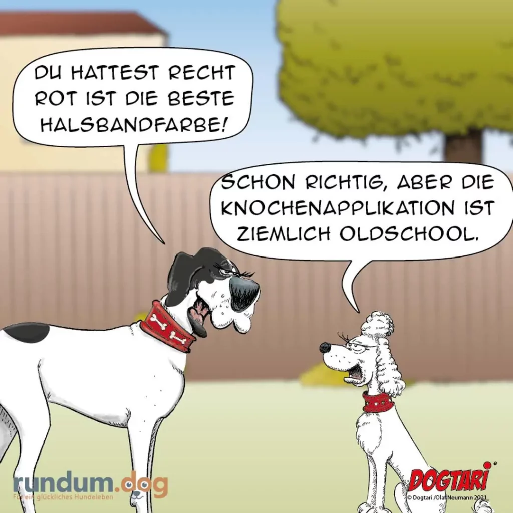 Grosser Hund mit rotem Halsband sagt zu kleinem Hund: Du hast recht, rot ist die beste Halsbandfarbe. Kleiner Hund antwortet: Schon richtig, aber die Knochenapplikation ist ziemlich oldschool.