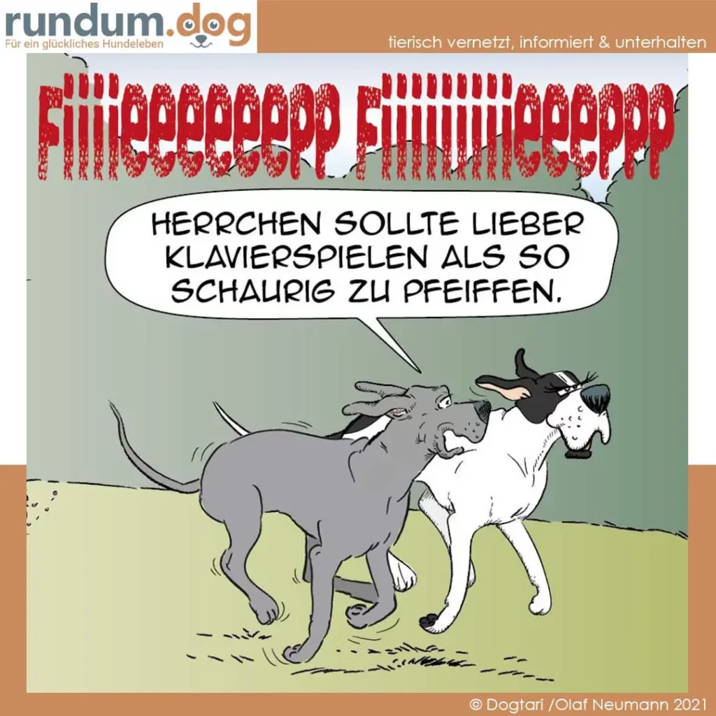 Zwei Hunde nebeneinander auf grüner Wiese, einer sagt: «Herrchen sollte lieber Klavierspielen als so schaurige zu pfeiffen»