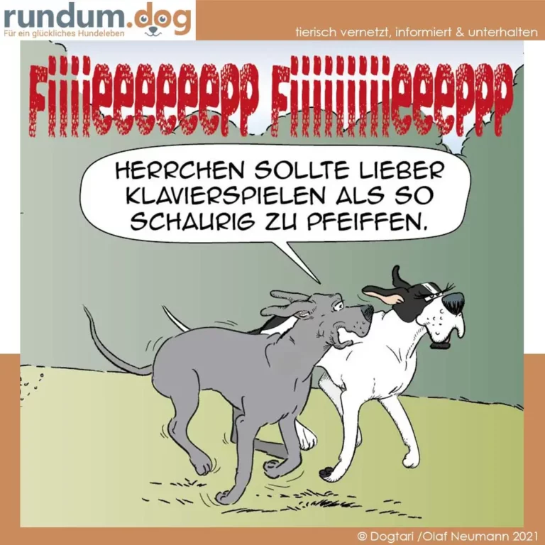 Zwei Hunde nebeneinander auf grüner Wiese, einer sagt: «Herrchen sollte lieber Klavierspielen als so schaurige zu pfeiffen»