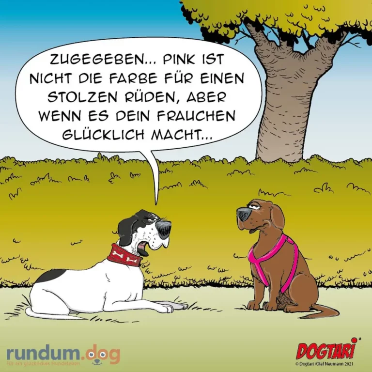 Schwarzweisser Hund mit rotem Halsband sitzt und spricht zu braunem Hund mit pinkem Geschirr unter einem Baum