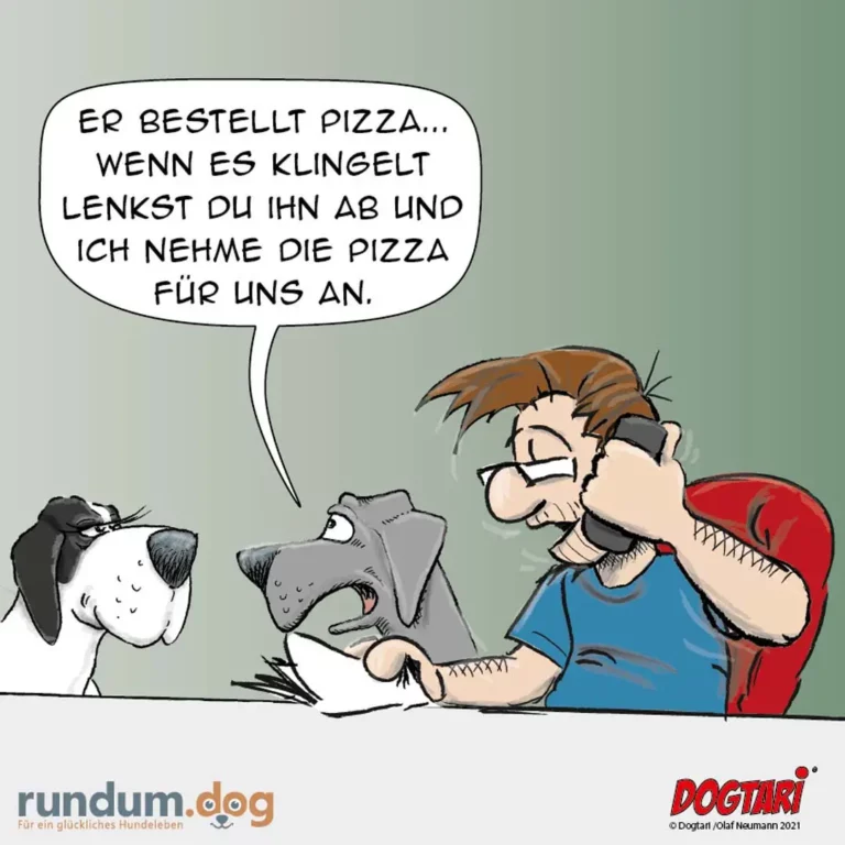 Mann sitzt mit zwei Hunden am Tisch, erklärt ihnen einen Plan zur Pizza-Bestellung mit Bestechung