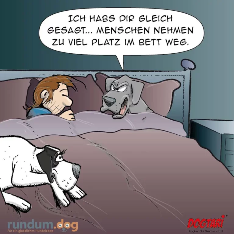 Frau liegt im Bett neben Hund, kleine Katze sitzt auf dem Boden. Hund sagt: Ich habs dir gleich gesagt, Menschen nehmen zu viel Platz im Bett weg.