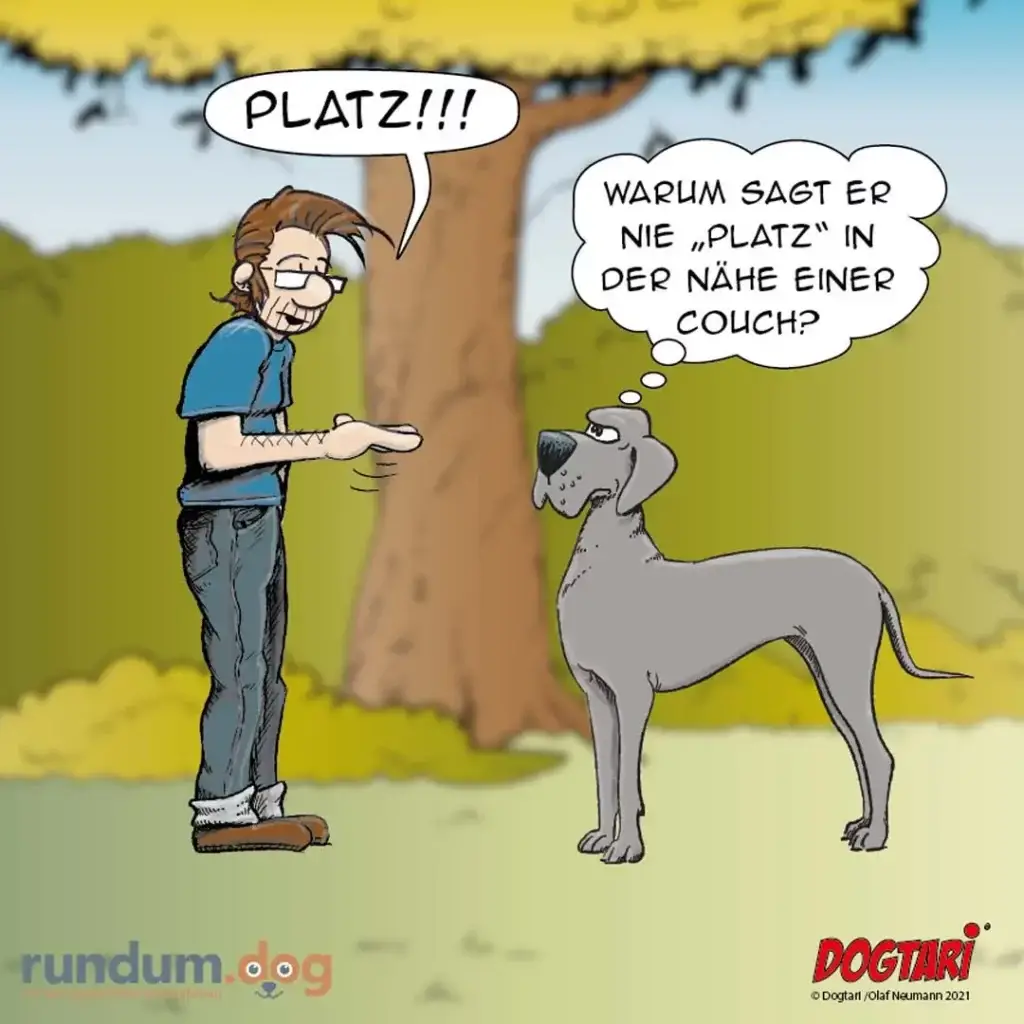 Halter ruft 'Platz!' zu seinem Hund, dieser antwortet: 'Warum sagst du nie Platz in der Nähe einer Couch?'