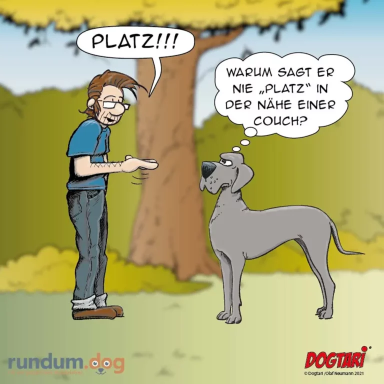 Halter ruft 'Platz!' zu seinem Hund, dieser antwortet: 'Warum sagst du nie Platz in der Nähe einer Couch?'