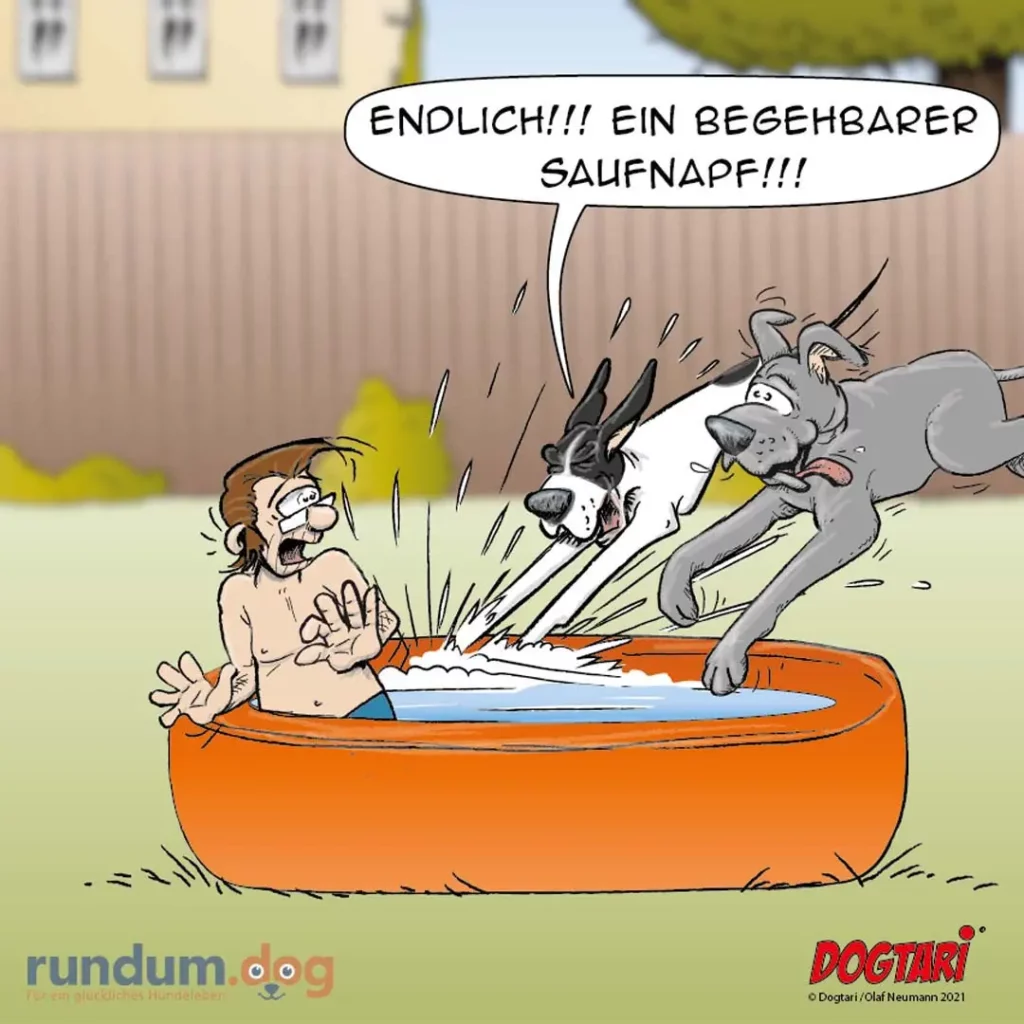 Mann sitzt in orangem Planschbecken, zwei Hunde springen hinein mit Schriftzug «Endlich!!! Ein begehbarer Saufnapf!!!»