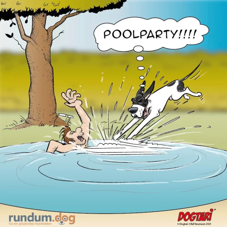 Hund springt mit ausgestreckten Pfoten in einen Pool, während ein Kind im Wasser jubelt und 'POOLPARTY!!!!' ruft
