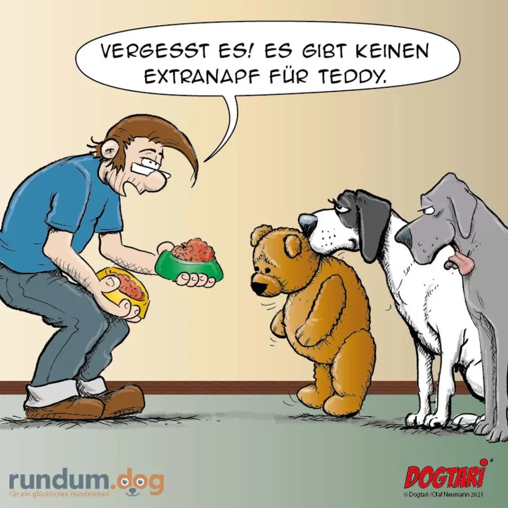 Halter hält zwei volle Futterschüsseln und sagt zu zwei Hunden: Vergesst es, es gibt keinen Extranapf für Teddy. Ein brauner Hund sitzt zwischen zwei anderen Hunden.