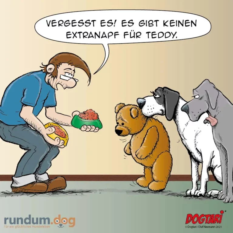 Halter hält zwei volle Futterschüsseln und sagt zu zwei Hunden: Vergesst es, es gibt keinen Extranapf für Teddy. Ein brauner Hund sitzt zwischen zwei anderen Hunden.