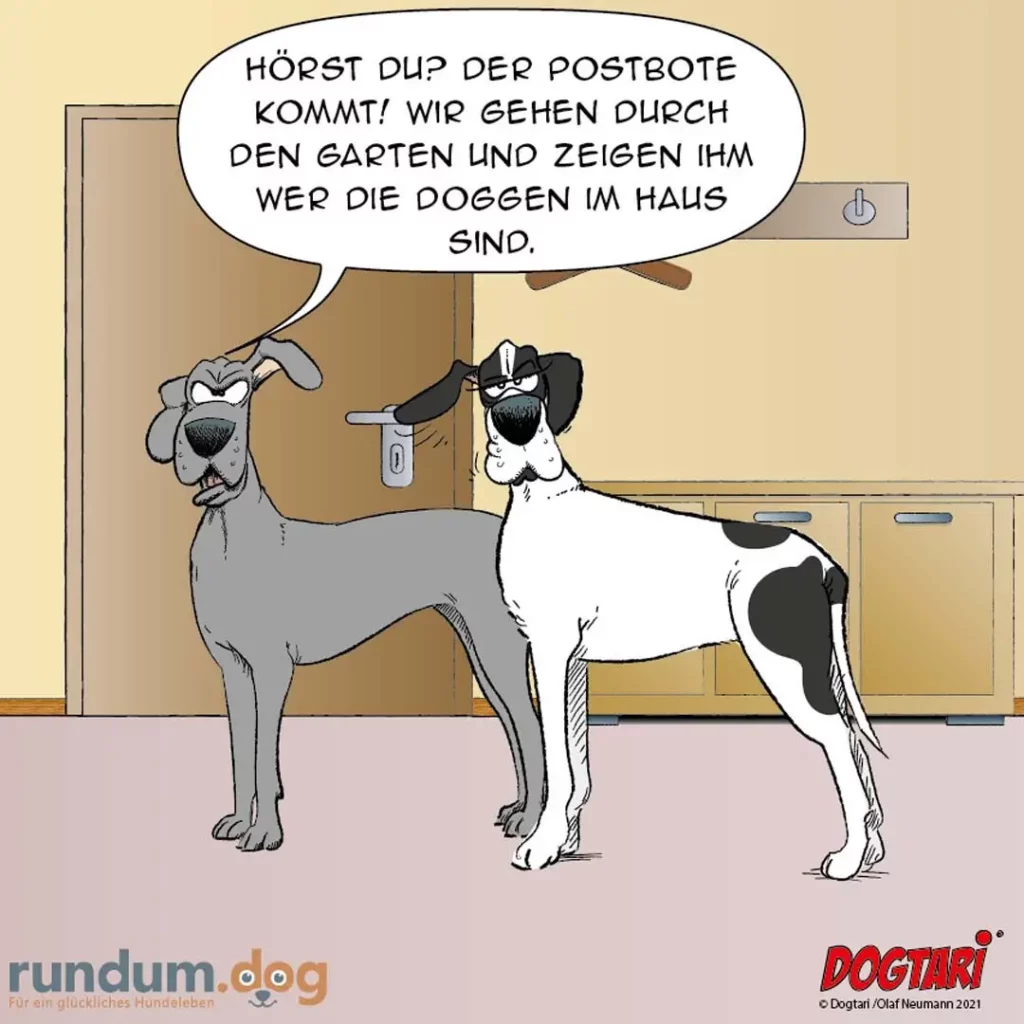 Grauer Hund spricht zu weissem Hund an der Haustür: 'Hörst du? Der Postbote kommt! Wir gehen durch den Garten und zeigen ihm wer die Doggen im Haus sind.'