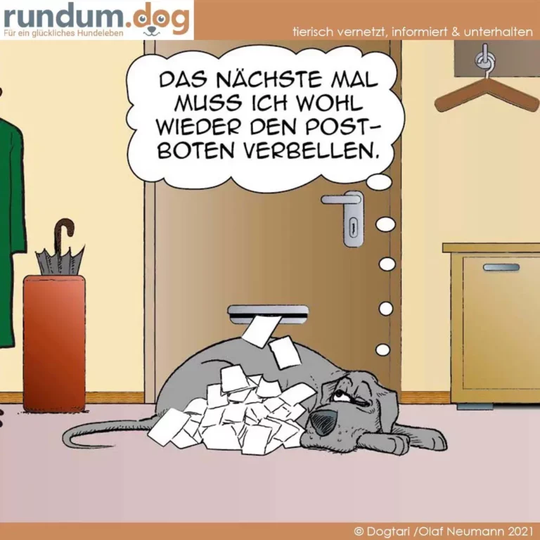 Hund liegt unter Papierschnipseln, die aus einem Postfach hängen, und spricht selbstkritisch: Das nächste Mal muss ich wohl wieder den Postboten verbellen.