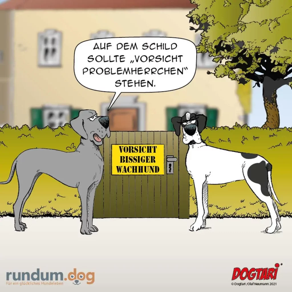 Grauer Hund spricht mit weiss-schwarzem Hund vor Gartentor mit Schild «Vorsicht bissiger Wachhund»