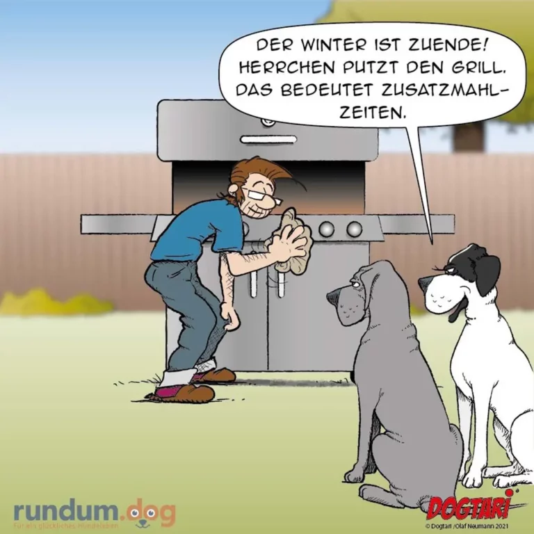 Mann grillt am Grill und sagt: Der Winter ist zuende, Herrchen putzt den Grill. Das bedeutet Zusatzmahlzeiten. Zwei Hunde schauen erwartungsvoll zu.