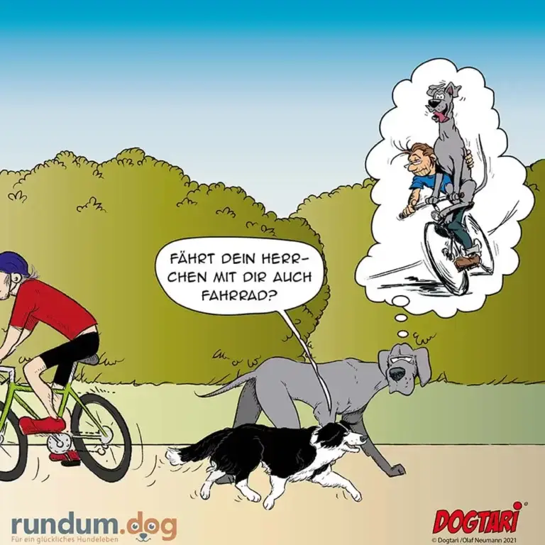 Frau auf Fahrrad fährt neben zwei Hunden, einer trägt einen Hund in einer Gedankenblase, der andere denkt fragend