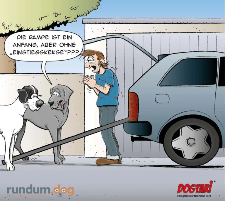 Mann hält zwei Hunde an der Rampe eines Autos und sagt verwirrt: Die Rampe ist ein Anfang, aber ohne Einstiegskekse???