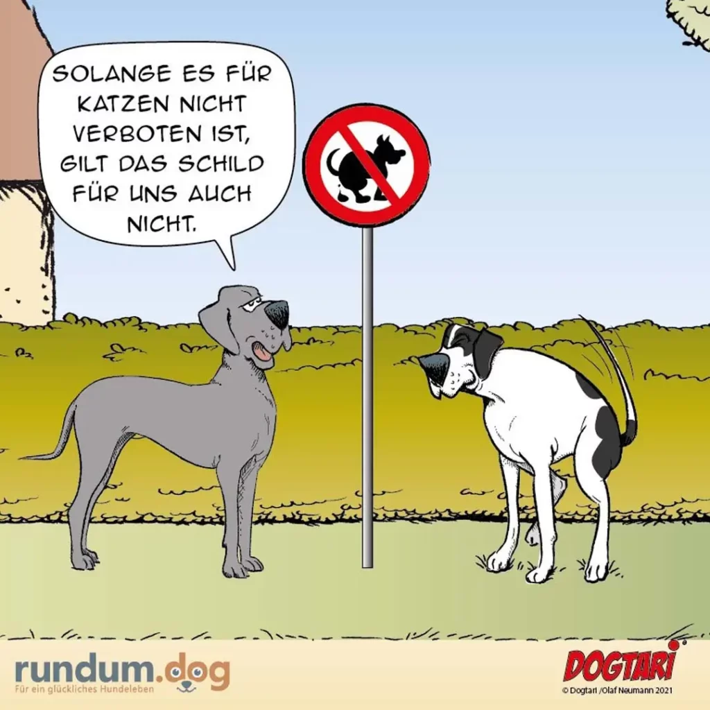 Grauer Hund spricht zu weiss-schwarzem Hund neben einem Schild mit durchgestrichenem Hund
