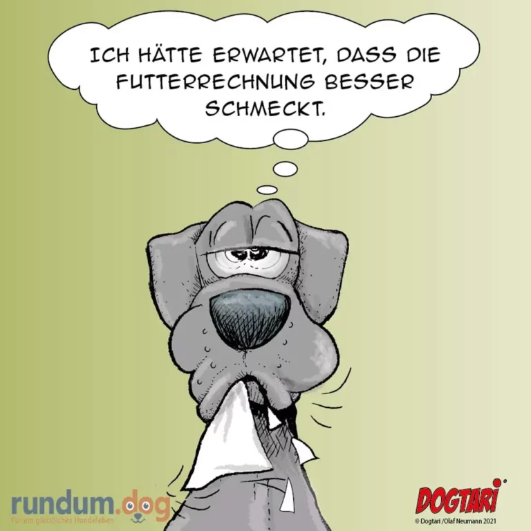 Grauer Hund mit traurigem Blick hält ein Taschentuch in der Schnauze, Gedankenblase mit Text über Futterrechnung