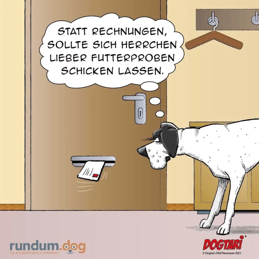 Weisser Hund schaut auf eine Waage am Boden, eine Gedankenblase zeigt Befehle auf Deutsch