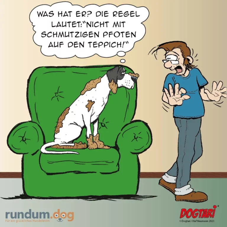 Weiss-brauner Hund sitzt auf grünem Sessel und hinterlässt Schmutzspuren, Halter steht daneben und gestikuliert frustriert