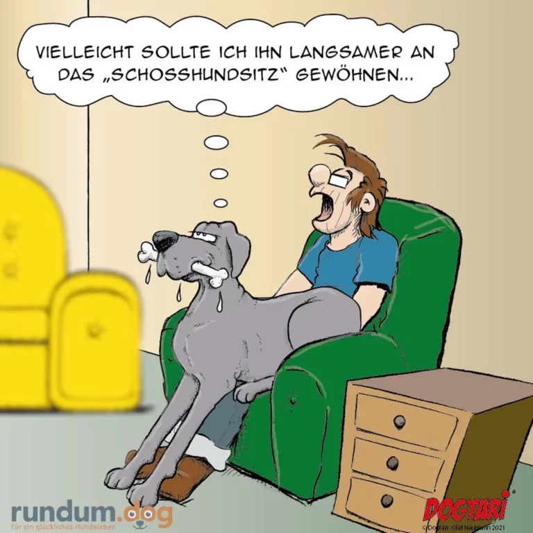 Halter sitzt im grünen Sessel, Hund auf seinem Schoss sabbert ab, Halter denkt über Langsamsitzen nach
